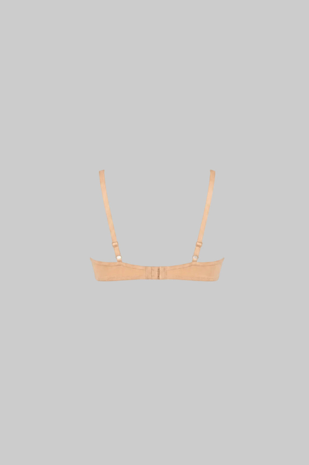 Enamor Perfect Coverage Cotton T-shirt Bra for Women- Padded and Wirefree A039